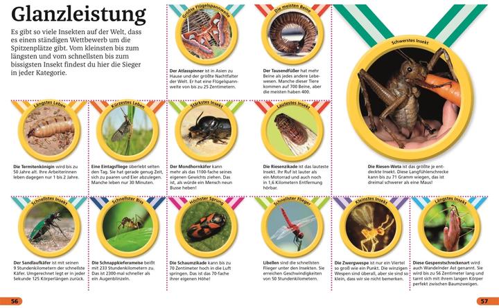 Produktbild Superchecker! Insekten (Deutsch, Andrea Mills, Brigitte Rüssmann, Wolfgang Beuchelt, 2022)