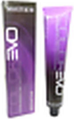 Selective Professional ColorEvo Dauerhafte Haarfarbe 100ml