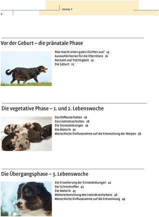 Produktbild Kosmos Vom Welpen zum Familienhund mit Natural Dogmanship (Deutsch, Jan Nijboer, 2015)