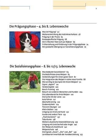 Actual product image Kosmos Vom Welpen zum Familienhund mit Natural Dogmanship (German, Jan Nijboer, 2015)
