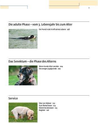 Produktbild Kosmos Vom Welpen zum Familienhund mit Natural Dogmanship (Deutsch, Jan Nijboer, 2015)