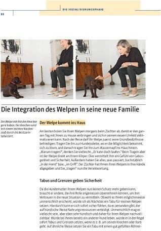 Produktbild Kosmos Vom Welpen zum Familienhund mit Natural Dogmanship (Deutsch, Jan Nijboer, 2015)