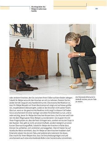 Produktbild Kosmos Vom Welpen zum Familienhund mit Natural Dogmanship (Deutsch, Jan Nijboer, 2015)