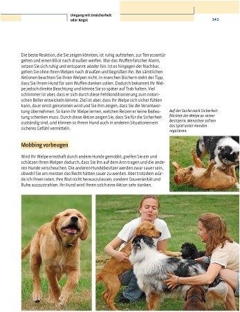 Actual product image Kosmos Vom Welpen zum Familienhund mit Natural Dogmanship (German, Jan Nijboer, 2015)
