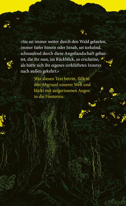 Image du produit Die Holländerinnen (Allemand, Elmiger, Dorothee, 2025)