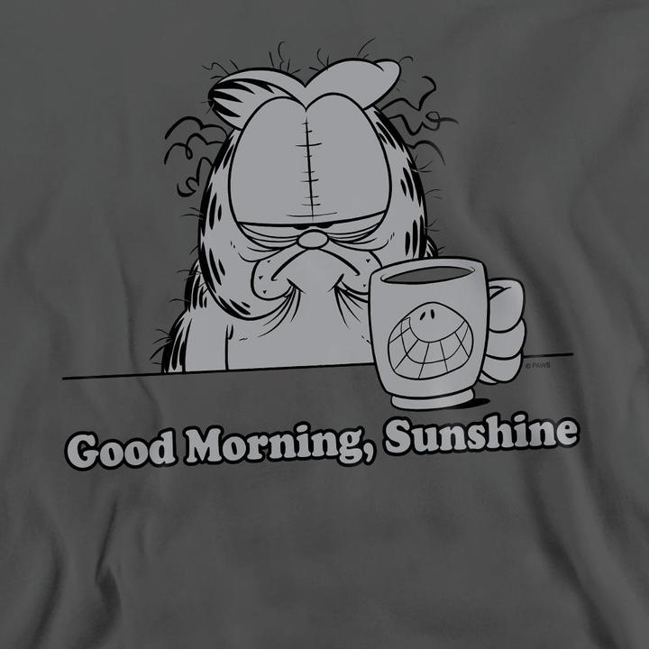 Produktbild Garfield Good Morning Sunshine Sweatshirt (M)