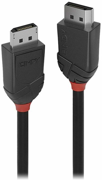 Actual product image Lindy DisplayPort — DisplayPort (3 m, DisplayPort, 1.2)