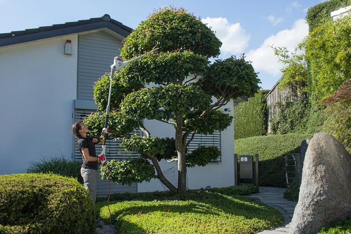 Actual product image Ikra ITHS 600 (Electrical connection)