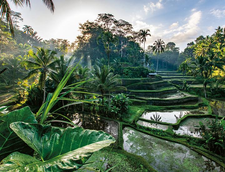 Immagine prodotto Ravensburger Puzzle Nathan (2000 pezzi)