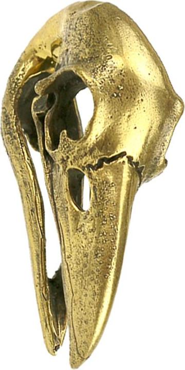 Image du produit Star Piercing Poids d'oreille Trou de serrure doré Crâne de corbeau (Laiton)