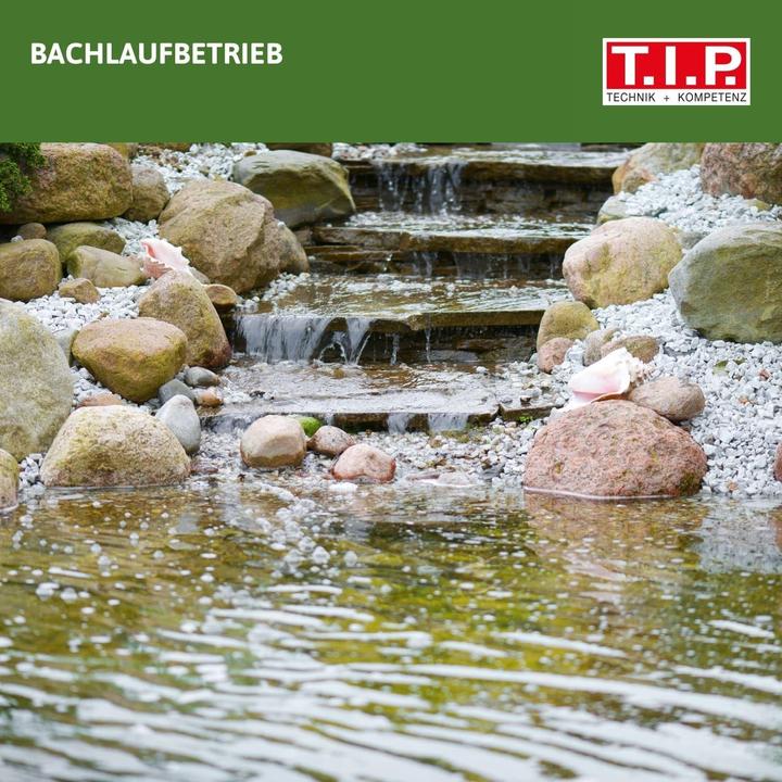 Produktbild T.I.P. Springbrunnenpumpe mit Filterf