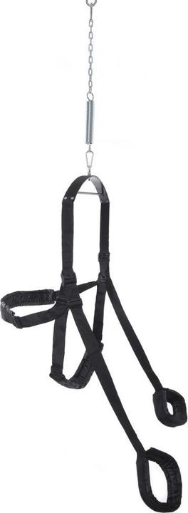 Produktbild Pipedream Fantasy Swing