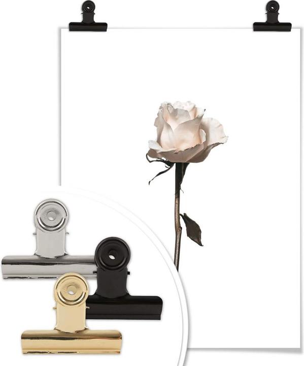Image du produit Trenddeko Die weisse Rose (30 x 40 cm)