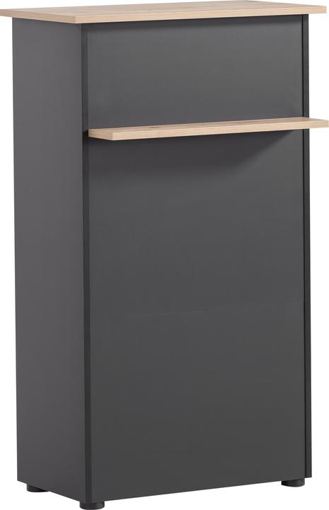 Actual product image Schildmeyer Reception desk (66 x 44 x 110.5 cm)