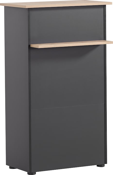 Produktbild Schildmeyer Empfangstresen (66 x 44 x 110.5 cm)