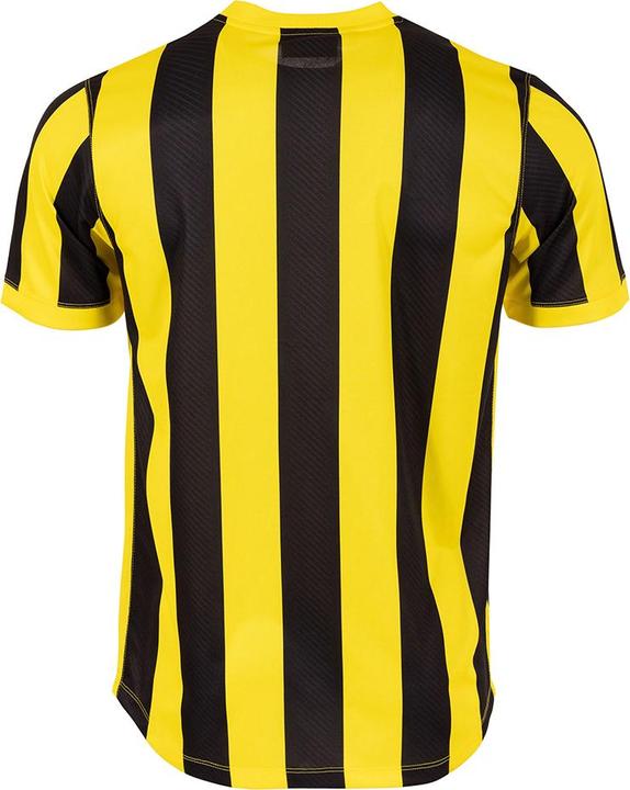 Produktbild Stanno Aspire Trikot (164)