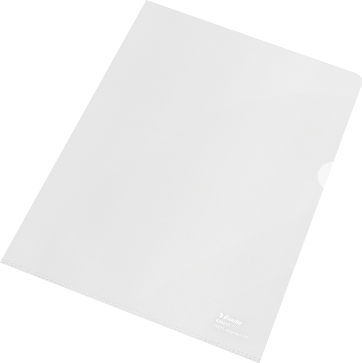 Actual product image Esselte Folder 100% recycled (220 x 307 mm, 20 x)