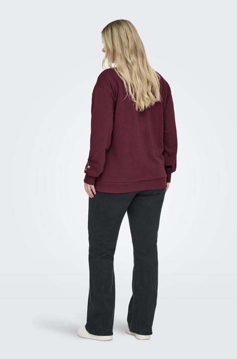 Produktbild Only CARBEN Sweatshirt Sweatshirt (42)