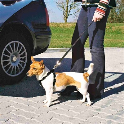 Produktbild Trixie Auto-Geschirr (XS, Hund, Allgemein)