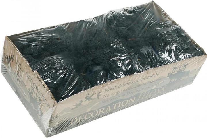 Actual product image Flowerbox Iceland moss