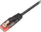 Actual product image Wirewin Patch cord: UTP 0.25m black (UTP, CAT6, 0.25 m)