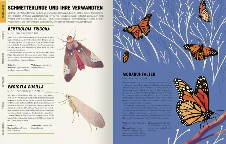 Produktbild Das grosse Lexikon der Tiere (Deutsch, Jules Howard, 2022)