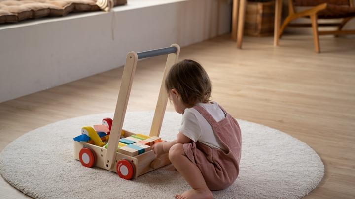 Produktbild Plantoys Baby Geh-Hilfe mit Vögeln