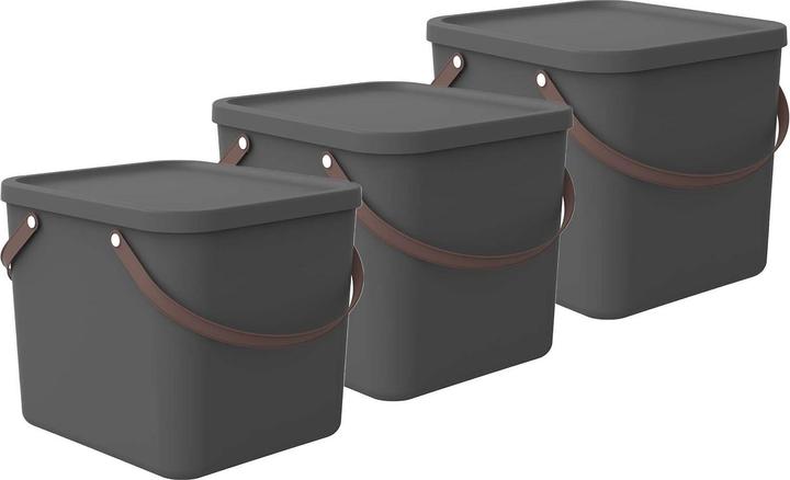 Rotho Kit de rangement 3 pièces 40 l ALBULA (40 l)