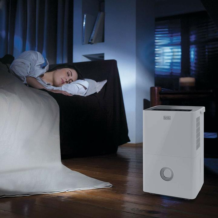 Image du produit Black & Decker BXDH20E (40 m²)