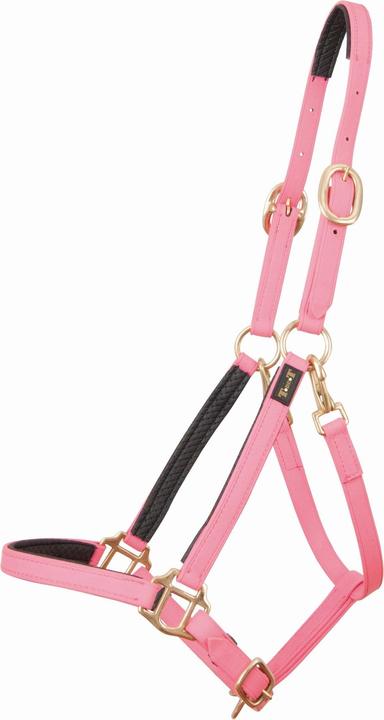 Immagine prodotto TdeT Biotack®