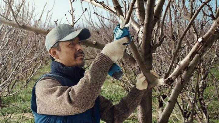 Actual product image Bosch Professional Pro Pruner
