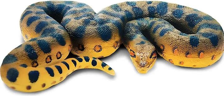 Basso ventre giallo, Macchie scure, Verde oliva