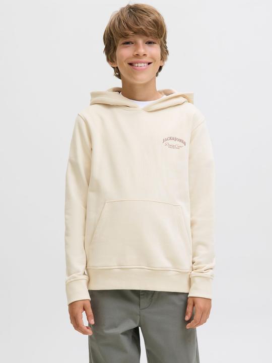Image du produit Jack & Jones Jjebrandes Backp Relaxed Sweat H Sn Jnr (164)
