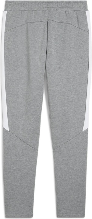 Actual product image Puma teamEVOSTRIPE Pants (3XL)