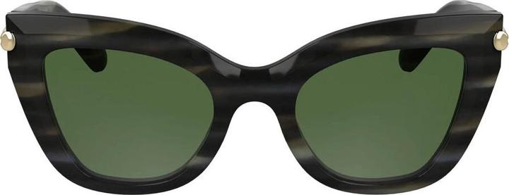 Produktbild Longchamp Gray Acetate Sunglasses