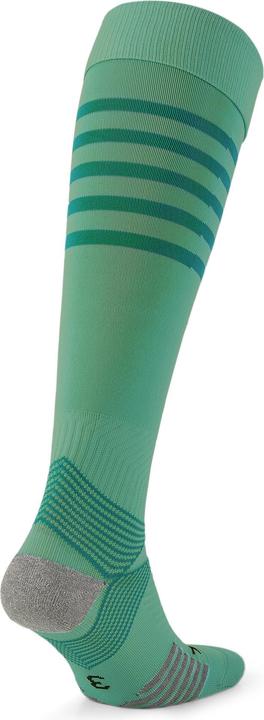 Actual product image Puma teamFINAL Socks (38)