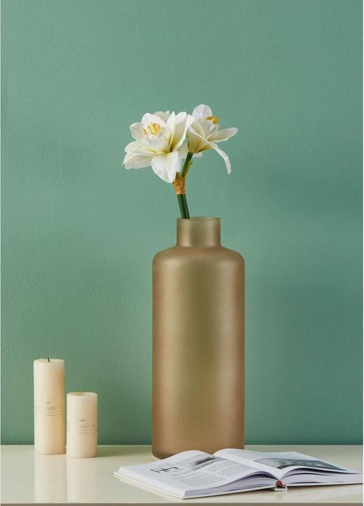 Immagine prodotto EGLO LIVING Molave (63 cm)