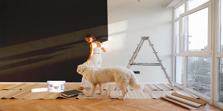 Actual product image Box Deco Couleurs Matte Acrylic Wall Paint, High Coverage, Quick-Drying, Washable, Professional Finish