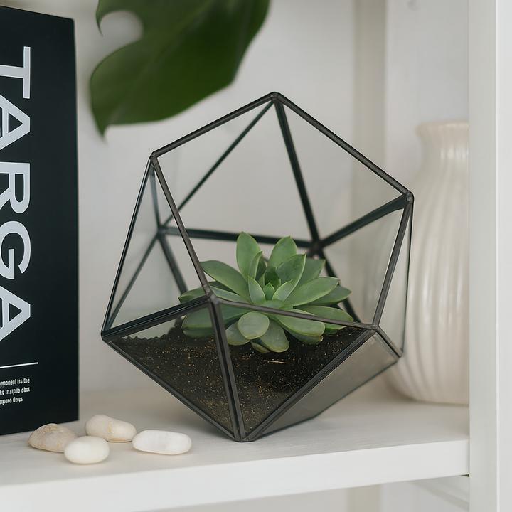 Produktbild Relaxdays Geometrisches Pflanzenterrarium aus Glas