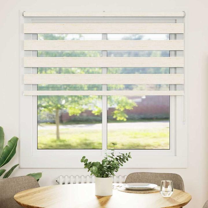 Produktbild vidaXL Zebra-Jalousie (145 x 100 cm)