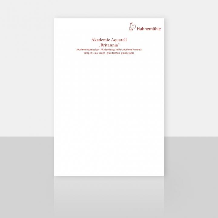Immagine prodotto Hahnemühle Tampone per acquerello 12 Bl. Britannia ruvido 30x40cm 300g (30 x 40 cm, Copertina rigida)