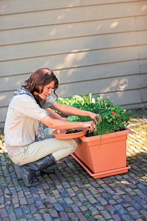 Immagine prodotto Elho Giardino Green Basics Xxl (77 x 39 x 34.50 cm)