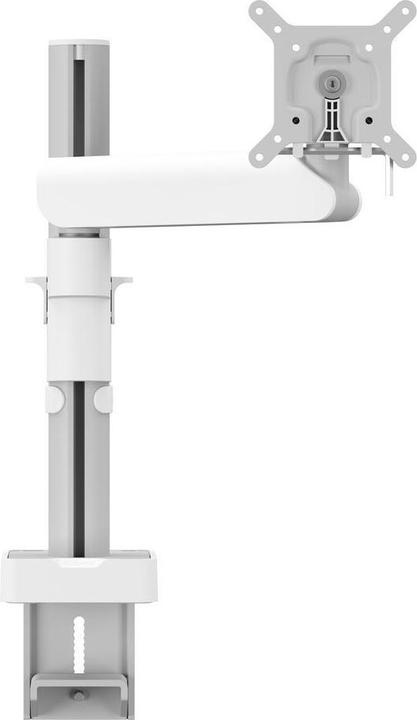 Monitor mount