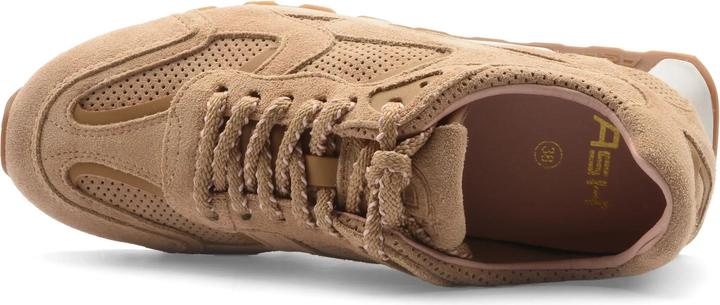 Image du produit Ash Kasar (37)