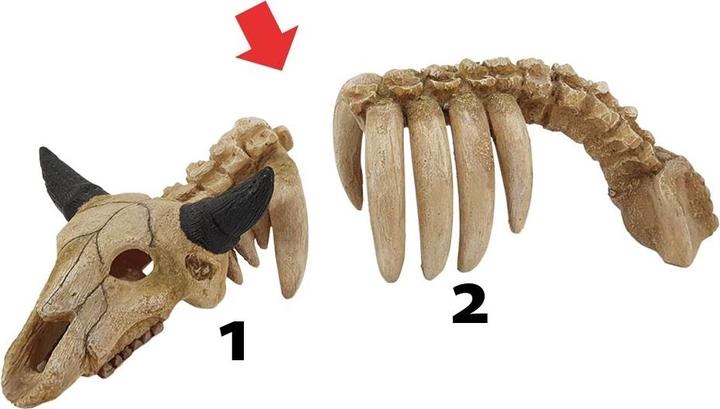 Immagine prodotto Nobby decorazione per acquario con scheletro animale (Decorazione, altre voci)