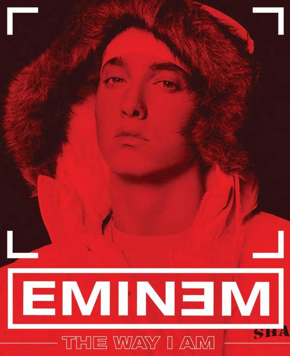 Immagine prodotto The Way I Am (Inglese, Eminema, 2009)