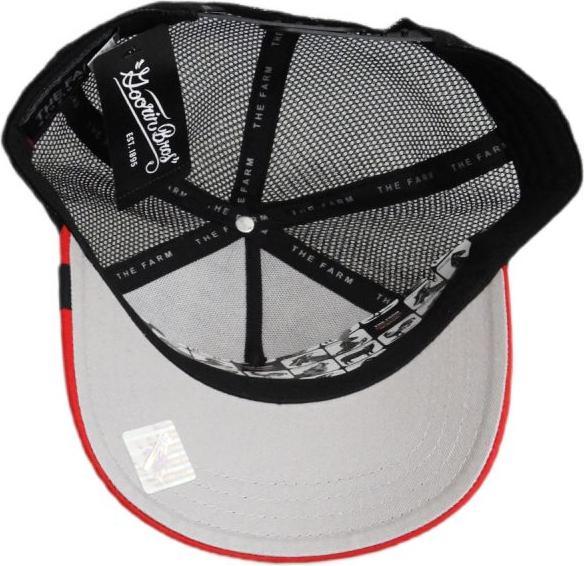 Produktbild Goorin Bros Kappe FALCON FAN