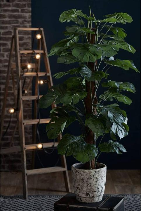 Produktbild Emerald Aurica (150 cm)