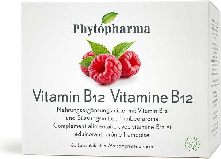 Phytopharma Vitamine B12 (60 pcs, Cachets, 45 g)