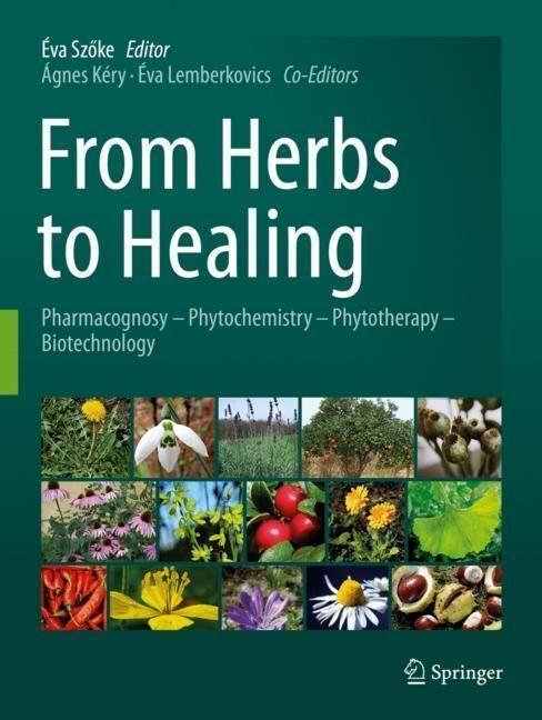 Productafbeelding From Herbs to Healing (Engels, 2024)